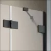 Essenza Pro Black PDD íves fekete zuhanykabin 80x100 átlátszó